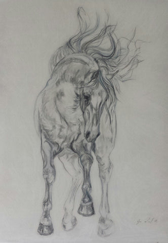 Poetic Motion in Blue Blank Card